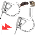 2 Pack Animal Spring Trap Reusable Dog Raccoon Coon Rabbit Traps Heavy Duty Animal Trap with 7'' Lever Handle for Garden Farmyard Field Outdoor (Silver Grey)