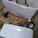 TOTO Drake Two-Piece Elongated 1.6 GPF Universal Height TORNADO FLUSH Toilet with CEFIONTECT, Cotton White - CST776CSFG#01