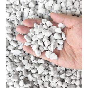 15 QT Professional Grade Horticultural Organic Perlite (15 QT, Large Size - Perlite)