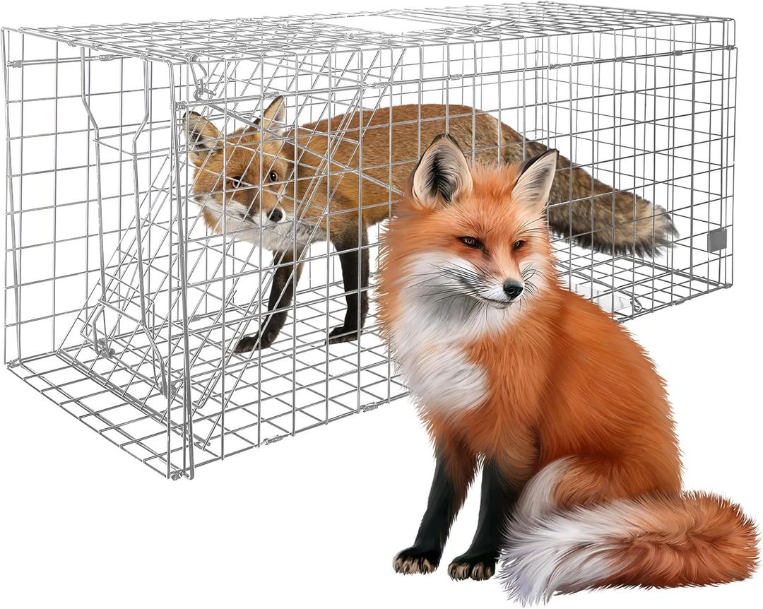 Large Live Animal Trap for Fox,42.5" X15 X17 Extra Large Animal Trap, Live Animal Traps cage for Raccoons Heavy Duty,Fox Traps for Trapping,Coyotes,Humane Catch and Release