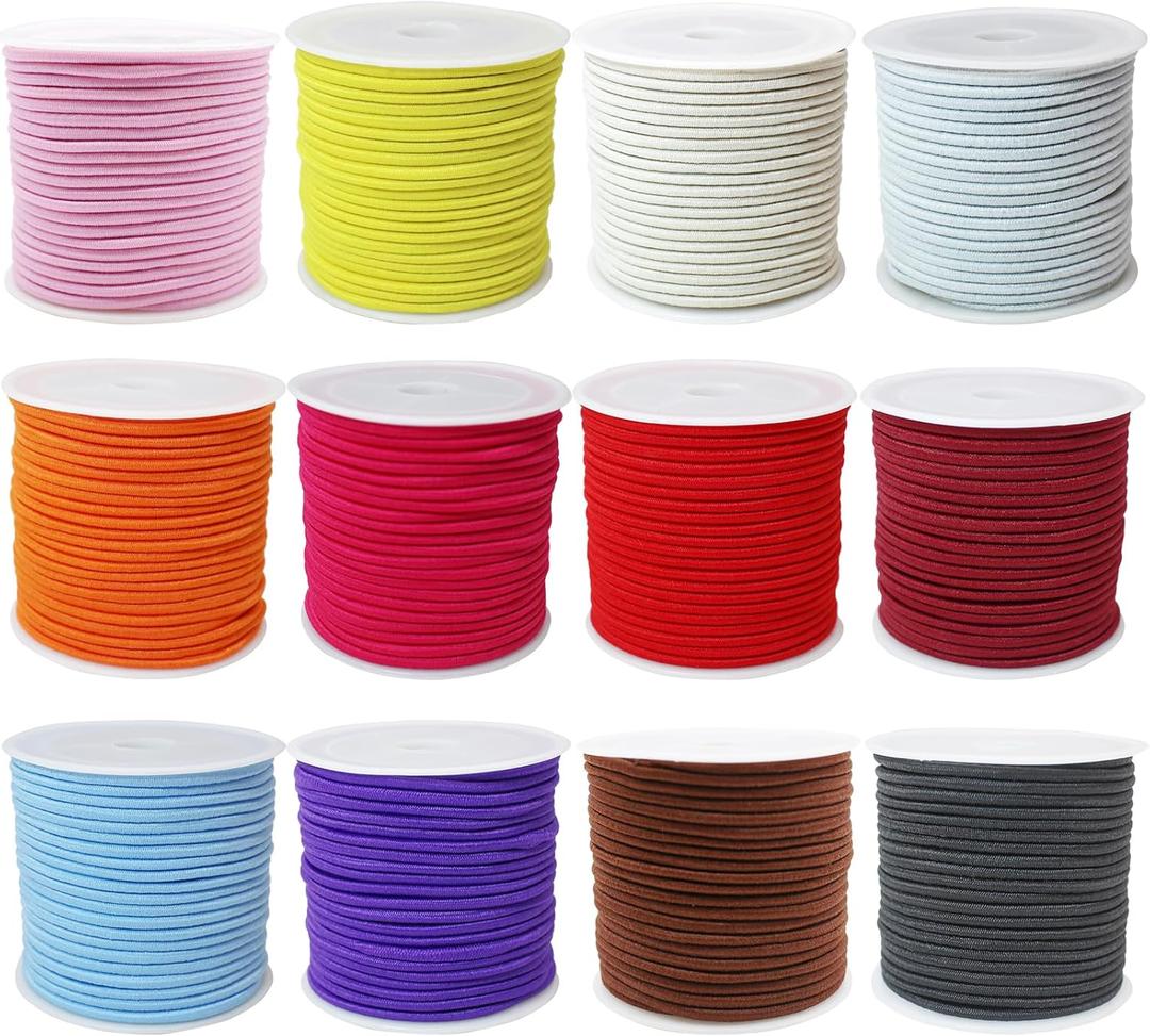 12rolls Colored Elastic Stretch String Assortment 2mm 300ft Elastic Round Beaded Cord Small Bungee Shock Cord for Pony Silicone Beads Large Hole Bead Keychain Bracelet DIY Crafts & Sewing (ZH169)
