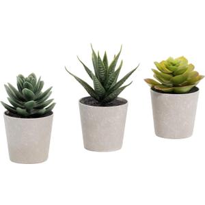 Artificial Succulents Set of 3 Mini Realistic Fake Plants with Plastic Pots for Home and Office Decoration, Including Aloe, Echeveria laui and Haworthia coarctata f. greenii, 4in (H) x 3.5in (W)