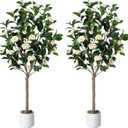Jocoevol Artificial Camellia Tree 4ft, 2 Pack Indoor Fake Plant with Realistic Trunk, Leaves, Flowers and White Planter, Faux Potted Tree for Home Decor and Housewarming Gift