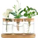 Dahey Plant Propagation Terrarium Desktop Glass Planter Station Water Planting Glass Vase with Lid and Wooden Stand for Propagating Hydroponic Plants Centerpiece Office Home Garden Decor, 3 Pcs (Medium, Brown, Clear)