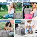 JUNGYOUN Premium Cat Carrier - Pet Carrier for Cat & Small Dogs up to 15lbs - Airline Approved Travel Dog Carrier with Anti-Escape Zippers, Collapsible Travel Bowl & Padded Strap