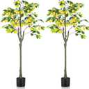 Jexine 2 Pack Artificial Lemon Tree 6 ft Tall Fake Plant Pre Potted Faux Lemon Tree Realistic Fruits for Indoor Home Decor Office Living Room