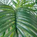 HAIHONG 6FT Artificial Palm Tree,Faux Areca Palm Plant with Real Touch Leaves and Adjustable Branches,Fake Tropical Palm Tree for Home Office Indoor Outdoor Modern Decoration