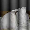 Amazon Basics Down Alternative Pillow for Side and Back Sleepers, Medium Density, Standard Size, 26" x 20", 2-Pack, White