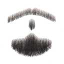 Parceria Fake Mustache and Beard, Easy Applying Hand Tied Human Hair Beard, Comfortable and Skin Friendly Realistic Lace Costume Facial Hair for Men Theatrical, Cosplay, Drama, Party (SD Beard Black)