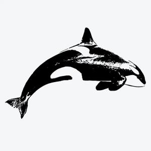 Inkbox Temporary Tattoos, Semi-Permanent Tattoo, One Premium Easy Long Lasting, Water-Resistant Temp Tattoo with For Now Ink - Lasts 1-2 Weeks, Orca Tattoo, Adria, 3 x 3 in