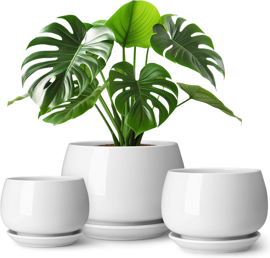 vancasso 3-Pack Ceramic Plant Pots, 3.7/4.8/6.2 Inch Indoor Planters with Saucers & Drainage Hole Planter pots for Indoor Plants and Flower, White (Small-3pcs/Set)