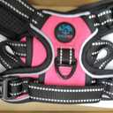 PHOEPET No Pull Dog Harnesses for Small Dogs Reflective Adjustable Front Clip Vest with Handle 2 Metal Rings 3 Buckles [Easy to Put on & Take Off](S, Pink)
