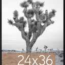MCS Everline Collection 24x36 Poster Frame Black, Vertical & Horizontal Wall Hanging Large Picture Frame for Photos, Posters & Art Prints (1-Pack)