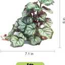 Woyrise Reptile Artificial Plants for Terrarium Decor, Amphibian Habitat Hideout Bearded Dragon Tank Decorations fit Crested Gecko Leopard Lizard Chameleon Ball Python Snake Frog - Saxifrage