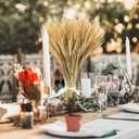 200 Pcs Dried Wheat Stalks, Dried Flowers Natural Wheat for Home Kitchen Office Flowers Arrangement Wedding Table Christmas Farmhouse Boho Party Fall Dcor