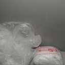 LuliKa 2 Packs Disposable Car Cover Clear Plastic Car Cover Universal Rain Dust Garage Cover with Elastic Band Medium (12.4 FT x 21.6 FT)…