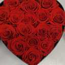 Preserved Roses Heart Shape Box Valentines Day Gifts for Her Mothers Day Forever Flowers (Red, 16 Roses)