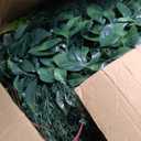 20"x20"(24P), UV Resistant Artificial Grass Wall Boxwood Plant Panel