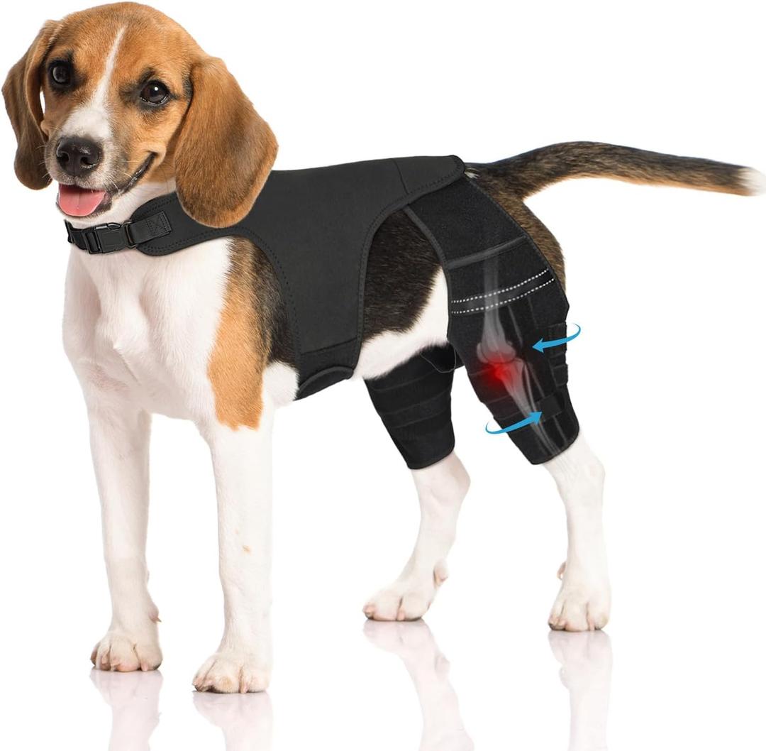 Dog Knee Brace for Torn ACL Hind Leg, Adjustable Dog Leg Braces for Back Leg with 4 Metal Stabilizers Helps with Torn CCL, Luxating Patella, Ligament Injuries, Hip Dysplasia, M