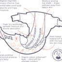 Pura Hypoallergenic Diapers, Size 1 (4-11 lbs), Newborn, Totally Chlorine Free, Wetness Indicator, Suitable for Sensitive Skin, Soft Organic Cotton Comfort, Overnight, 1 Pack of 32 Baby Diapers