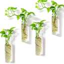 Kingbuy Wall-Mounted Plant Terrarium Propagation Station - 2 Cylinder Hanging Glass Tubes Planter for Hydroponic Plants, Indoor Wall Vases & Decorative Plant Holder Bathroom Office Living Room Decor (2 Pack)