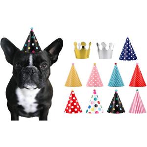 CBM Dog Party Hat Set - Dog Birthday Party - Hats and Crowns Party Time - 11 Pcs
