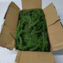 Christmas Garlands Norfolk Pine Garland Real Touch Artificial Faux Greenery Garland for Holiday Indoor Outdoor Decor 2 Pack