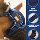 DF Freedom No Pull Martingale Dog Harness, Gentle Control for No Choking, Front Clip Harness with Reflective, Adjustable & Padded Handle for Easy Walking & Training, Navy Blue, 1", Chest 30.4"-45.2"