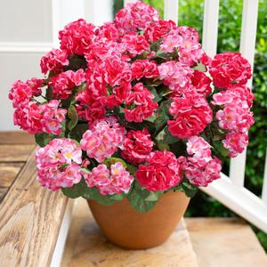 Artificial Geranium Fake Flowers for Outdoors Decoration, 6 Bundles Silk Geraniums Flower UV Resistant Look Real Faux Plants for Front Door Garden Porch Planter Patio Balcony Yard Indoor Home, Mix (3 Pink, 3 Hot Pink)