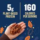 2 x PLANTERS Fall Edition Pumpkin Spice Almonds, Pumpkin Spice Snacks, Cooking & Baking Nuts & Seeds, Flavored Almonds, Seasonal Nuts, Fall Party Snacks, Plant-Based Protein, 15.25 oz Canister (EXP 06/14/25)