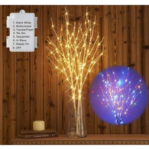 Hairui Lighted Birch Branches Battery Operated with 8 Functions 100 Multi Color and Warm White Lights, Pre Lit Twig Branches for Easter Christmas Party Room Decoration