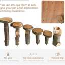 Hamster Climbing Wooden Stand Platform Hamster Cage Playground Natural Wood Bridge ramp Toys for Dwarf Hamsters Syrians Gerbil Mouse Rat