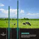 URBANVISTA 10 Pack Metal Fence Posts, 4 FT Heavy Duty U-Post, Green Garden Stakes, No-Dig Post Anchors for Wire Fences, Temporary Fencing, Electric Fence, and Corner Support