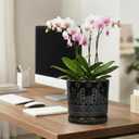 Eightpot 8 Inch Pots for Plants, Ceramic Plant Pot for Indoor Outdoor, Round Planter with Drainage Hole and Tray, Modern Flower Pot, Decorative Plant Pots, Room Decor, House Warming Gifts, Black