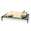 Coolaroo Pro Elevated Dog Bed with HeatShield Fabric Advanced Cooling Raised Cot for Small & Medium Breeds, Easy-Clean, Low-to-Ground Access, Bonus Bolster Pillow Everglade Green