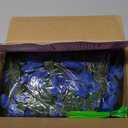 MARTINE MALL Flower Garland Rose Vines, 8 Strands 66Ft Flowers Vines for Bedroom, Rose Flower Garland Decoration, Sapphire Rose Floral Garland for Room Table Birthday Wedding Party Garden Wall Decor