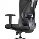 SIHOO M18 Ergonomic Office Chair, High Back Mesh Desk Chair with Adjustable Headrest & Lumbar Support, 330lbs Capacity Computer Chair with 2D Armrests & Wide Cushion, Tilt Lock, for Home Office-Black, 21 inches x 27.5 inches x 11 inches