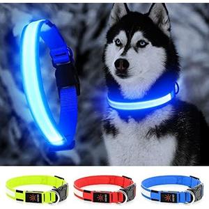 YFbrite Ultra Light Adjustable LED Dog Collar, Light up Dog Collars Rechargeable Glowing in The Dark Collars Visiblity & Safety for Small, Dogs (Blue, Small)