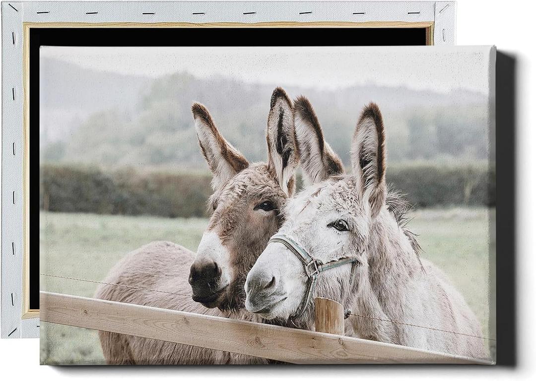 Farmhouse Donkey Wall Art Country Animal Pictures Cute Donkey Canvas Wall Art Funny Animal Paintings Rustic Farm Animals Poster Two Donkeys Picture Cute Animals Poster for Bedroom 16x24in with Frame