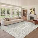 Area Rugs for Living Rooms - 6x9, Boho Non-Slip Low Pile Carpet Machine Washable Rugs for Bedroom, Farmhouse, Office, Dining Room (Beige)