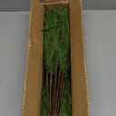 18 Pcs Real Touch Norfolk Pine Branches,Artificial Christmas Green Faux Cedar Norfolk Pine Stems Fake Greenery Pine Picks for Vase DIY Garland Wreath Xmas Indoor Outdoor Home Decoration (18 Inches)