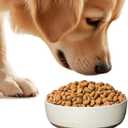 Ceramic Dog Bowl, Gift for Your Pet, Medium Water/Food Bowl, Microwave and Dishwasher Safe