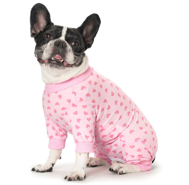 Surgery Recovery Suit for Medium Dogs, Long Sleeve Dog Onesie for Surgery Female Dogs Pajamas Abdominal Wound Bandages Surgical Suit Recovery Suit for Shedding Skin Disease, Size M