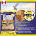 2 x Hagen Pigeon & Dove Seed - Original Formula Bird Food, 6 lb Bag Nutritionally Complete Seed Mix with Vitamins & Minerals Wild & Captive Bird Diet Insect-Resistant Air-Tight Packaging (EXP 04/23/26)