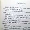Coyote Waits