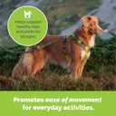 Dog Joint Support Powder, Beef Flavor Hip & Joint Supplement with Glucosamine for Mobility and Inflammation, 3rd-Party Tested Vitamins & Supplements