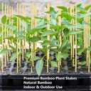 100Pcs 2ft/24in Bamboo Plant Stakes, Garden Stakes, Bamboo Stakes for Tomato, Beans, Potted Plants, Smores Sticks for Fire Pit, Natural Support for Gardening, BBQ, Camping, Home Cooking