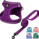 BELLA & PAL Step in Vest Harness for Small and Medium Dogs, No Pull Small Dog Harness with Leash Set, Comfortable Air Mesh Dog Vest Harness with Reflective Strip (Grape Purple, XS)