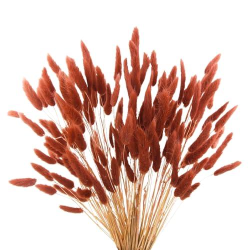 Burnt Orange Bunny Tails Dried Flowers,17" Dried Faux Pampas Grass Bulk Decor Fall Pampas Dried Boho Flowers Lagurus Ovatus Rabbit Bunny Tail Grass for Home Wedding Decor Crafts