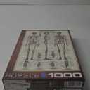 EuroGraphics Skeletal System (Chart) Puzzle (1000-Piece) (6000-3970) , Brown